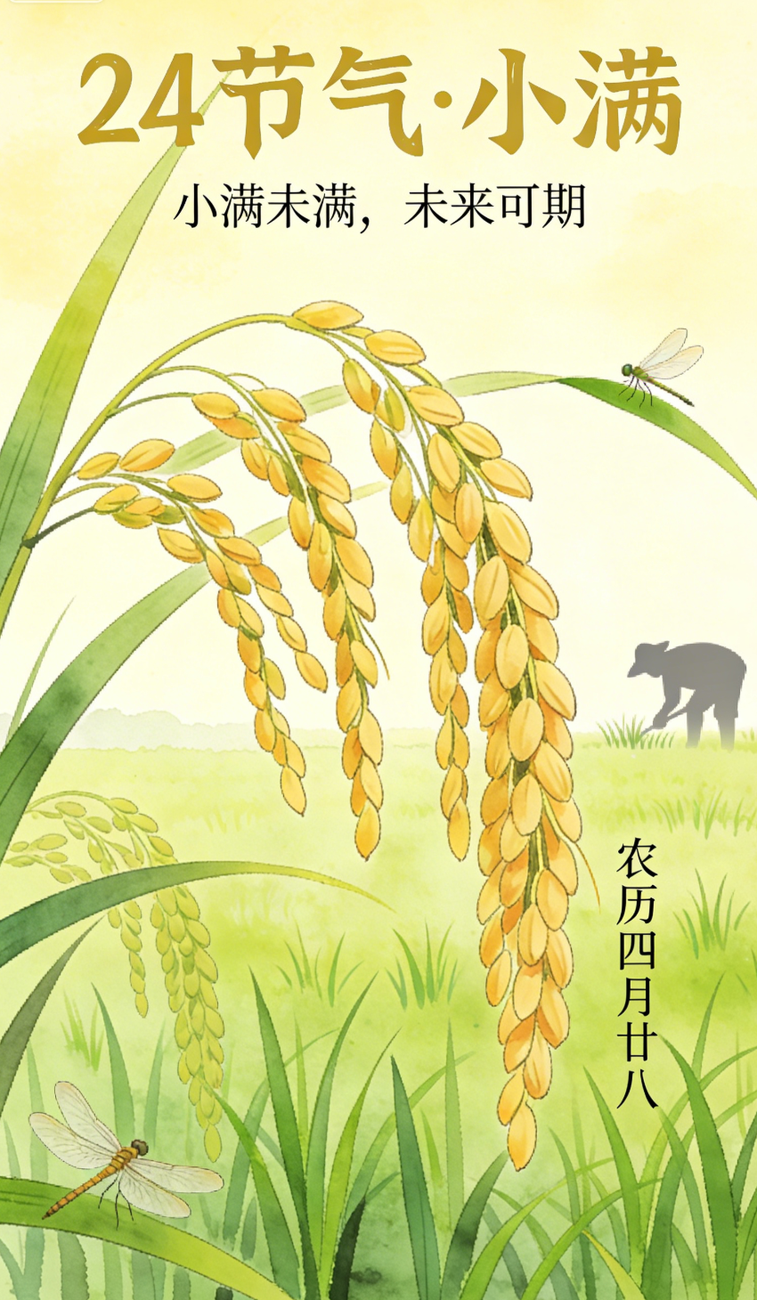 节气海报 6